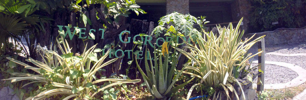West Gorordo Hotel Cebu Exteriér fotografie